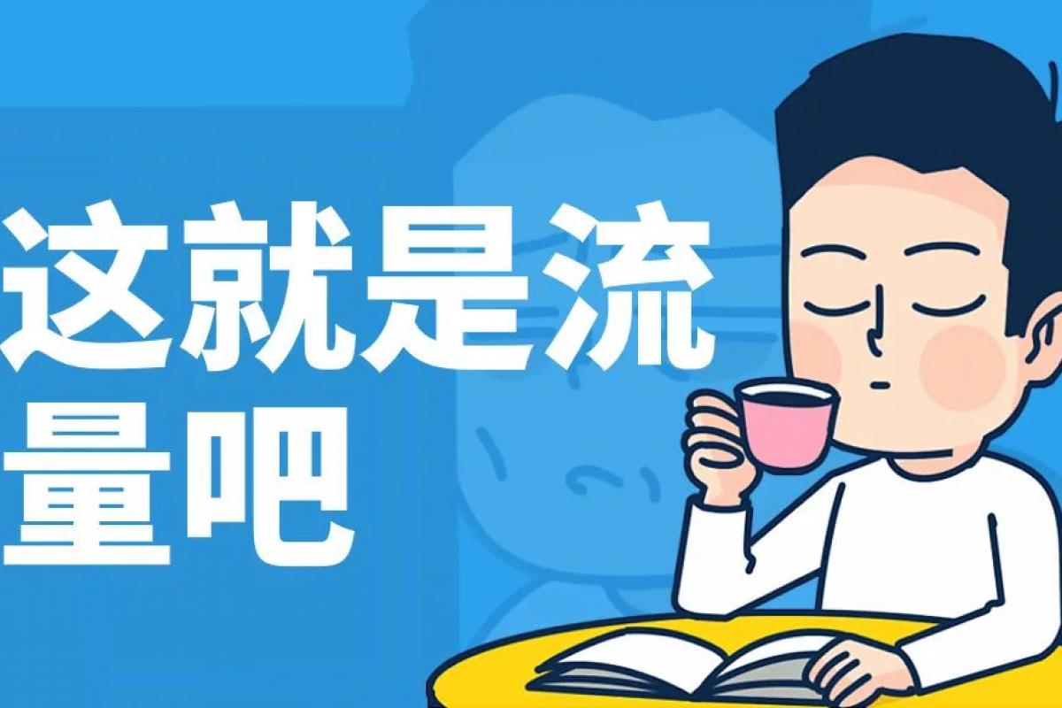 流量获取指南，或许这就是流量吧!